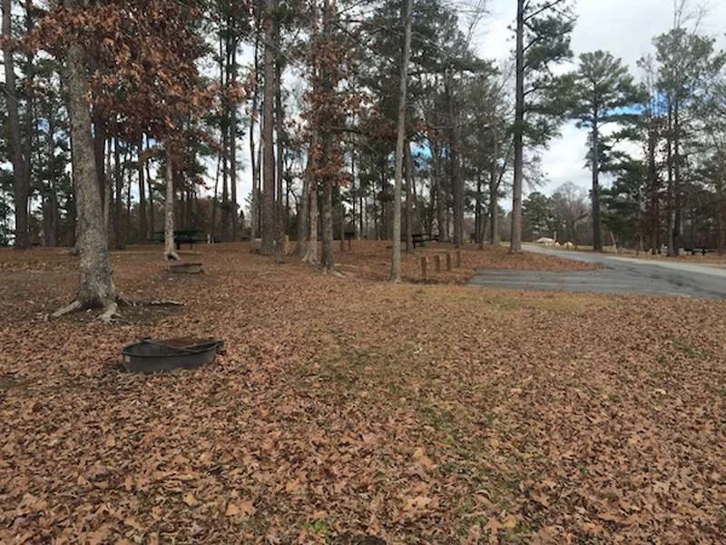 Tobesofkee Recreation Area