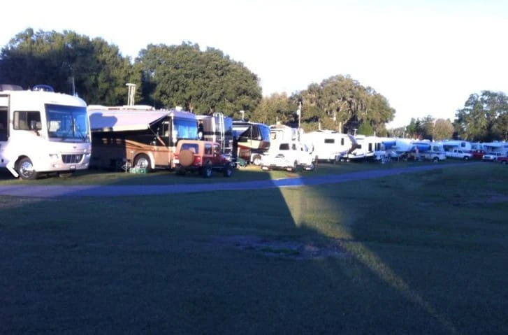 Plantation Oaks