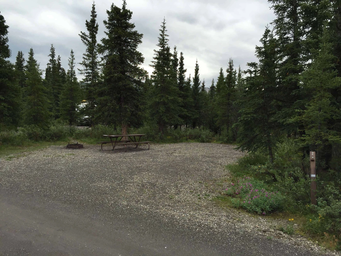 Teklanika River Campground