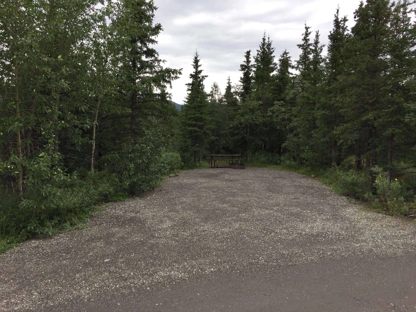Teklanika River Campground