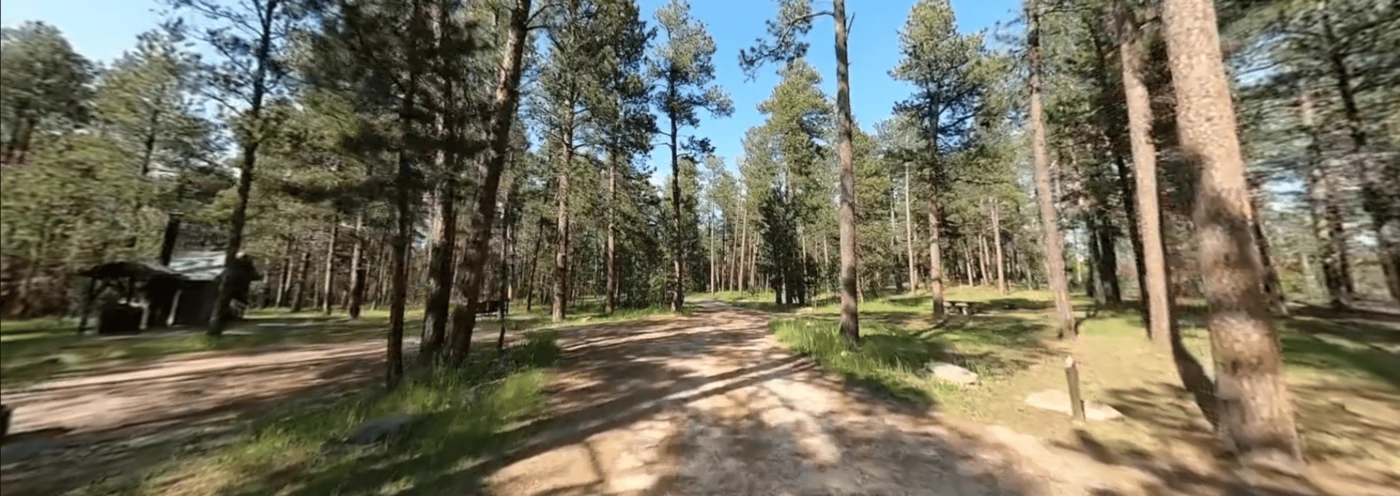 Bearlodge Campground