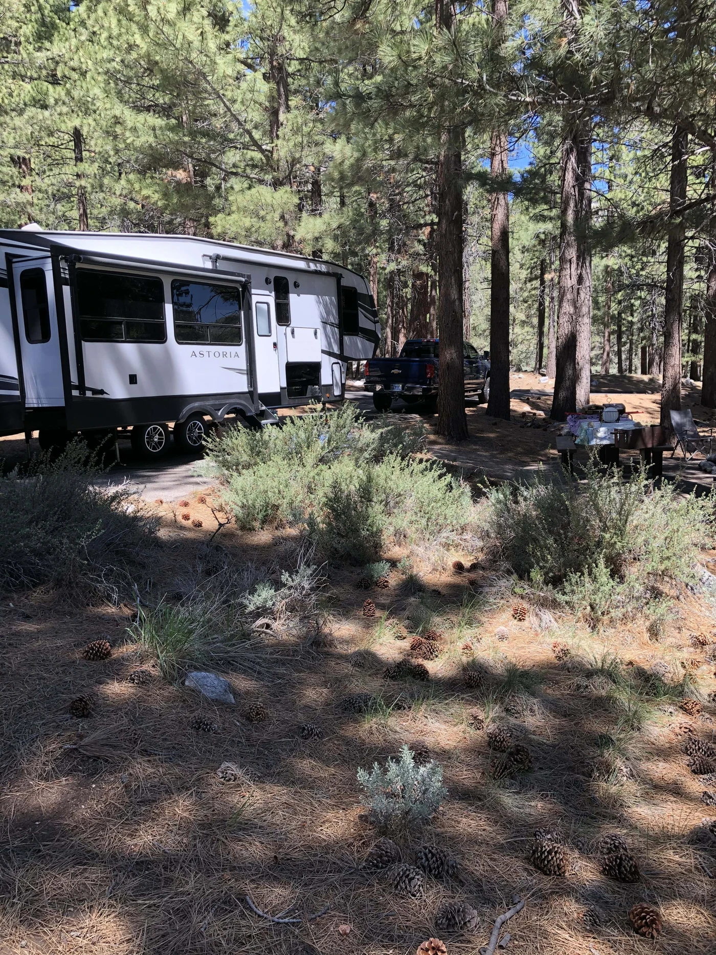 Bootleg Campground