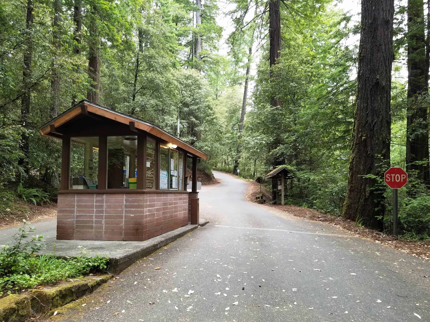 Hidden Springs Campground - Humboldt Redwoods State Park