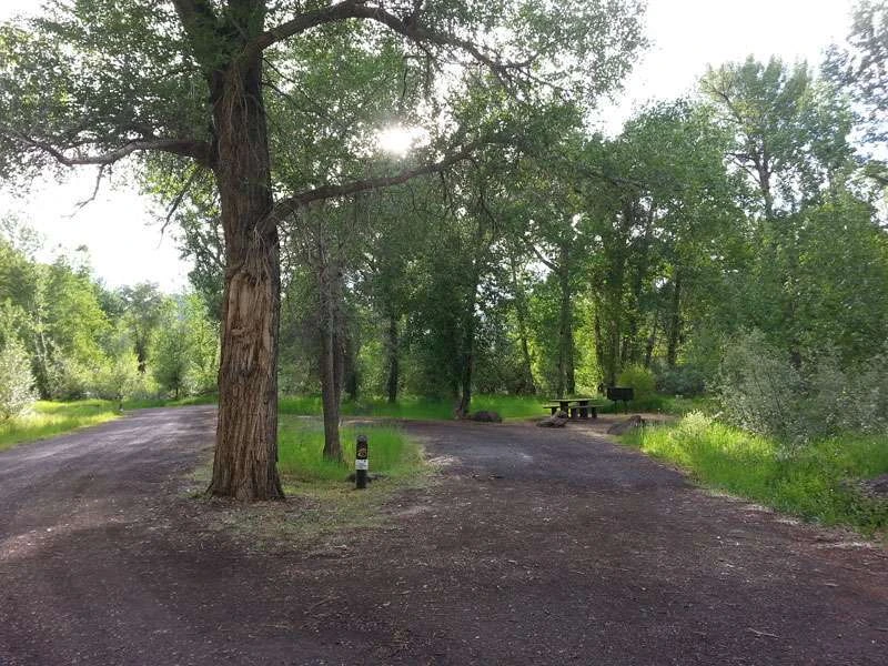 Big Game Campground