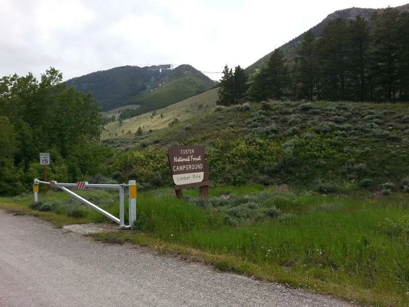 Limber Pine Campground