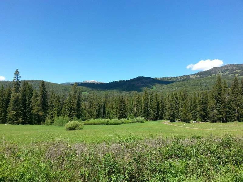 Timber Camp Campground