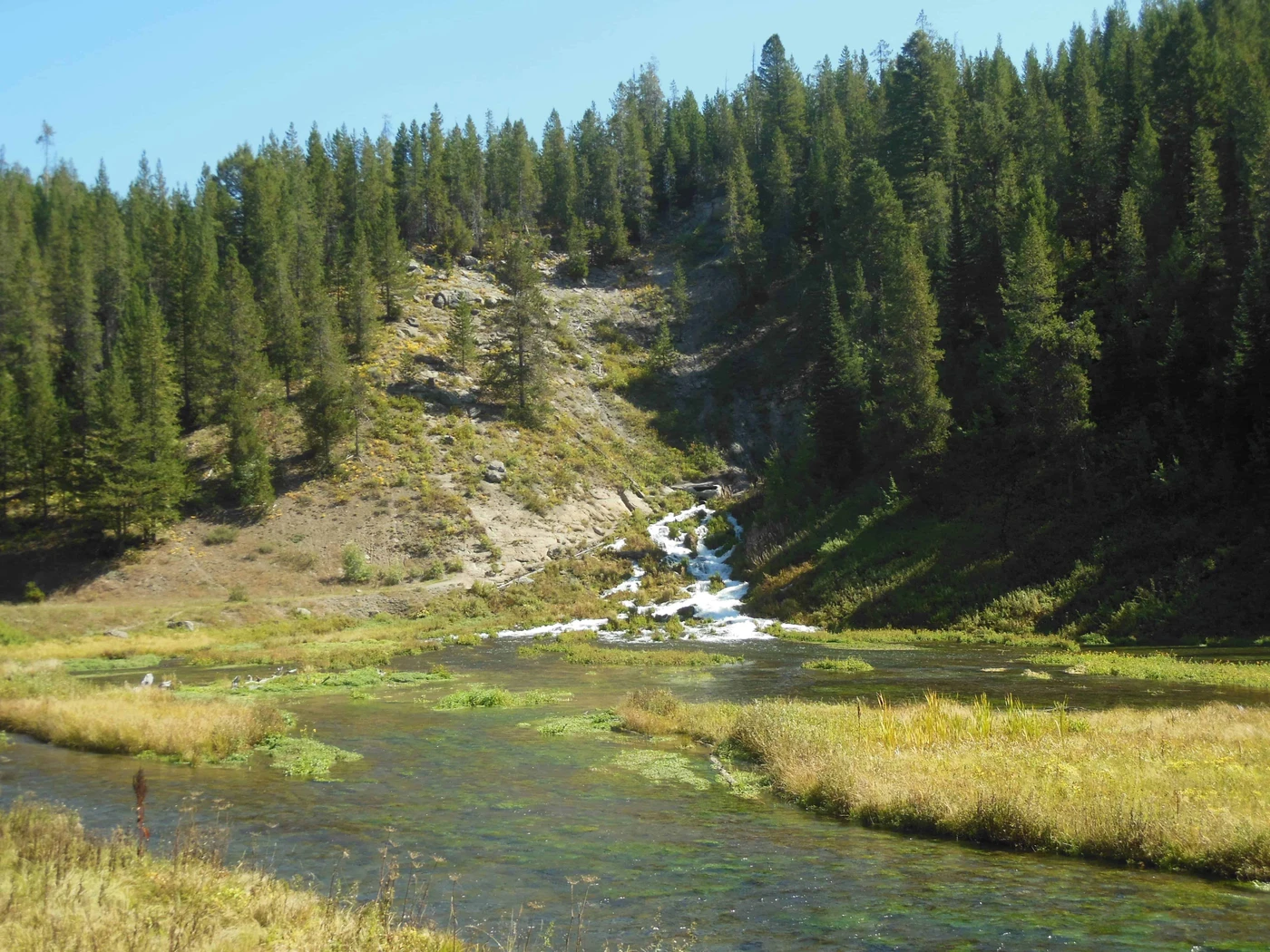 Warm River Campground