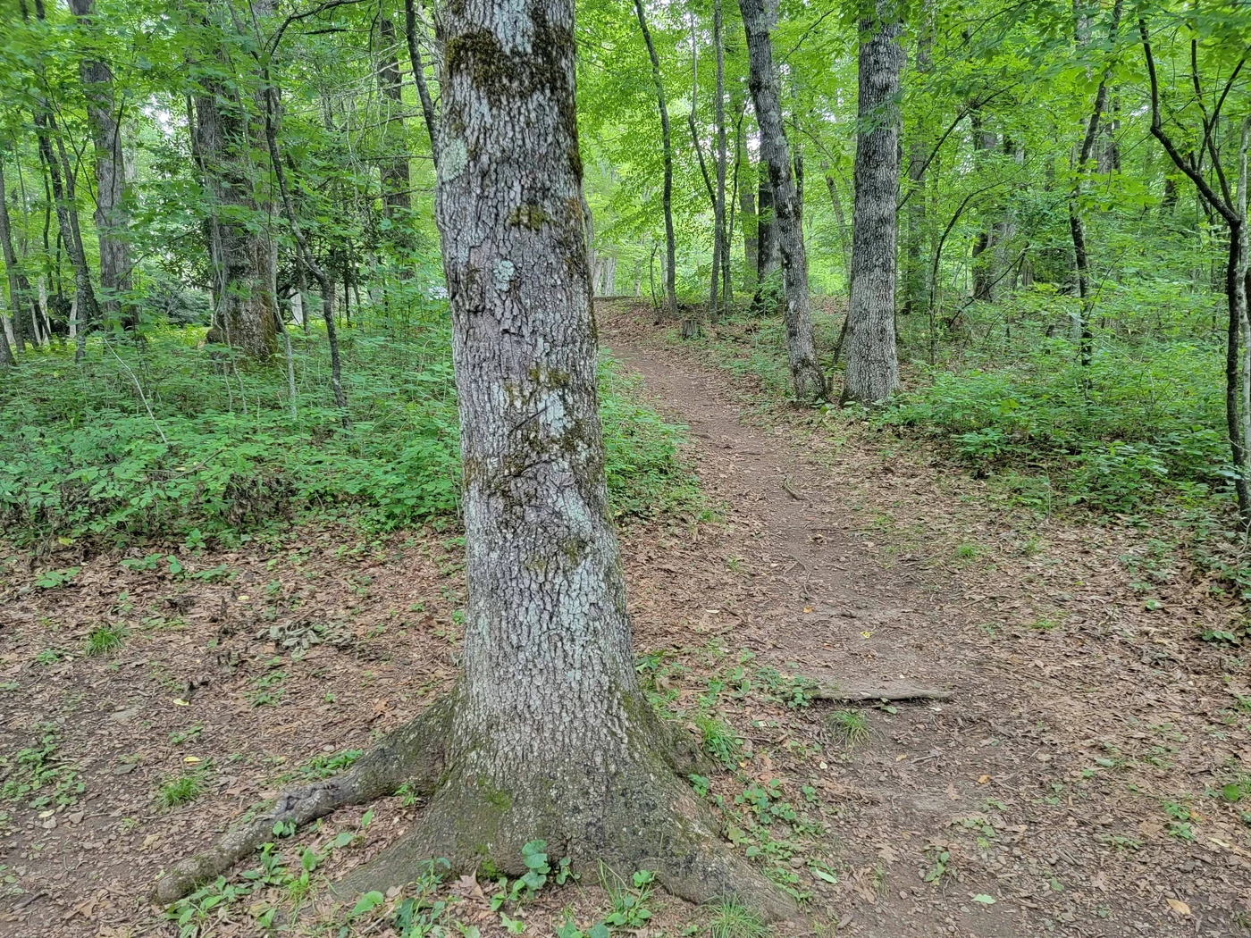 Crabtree Falls Campground