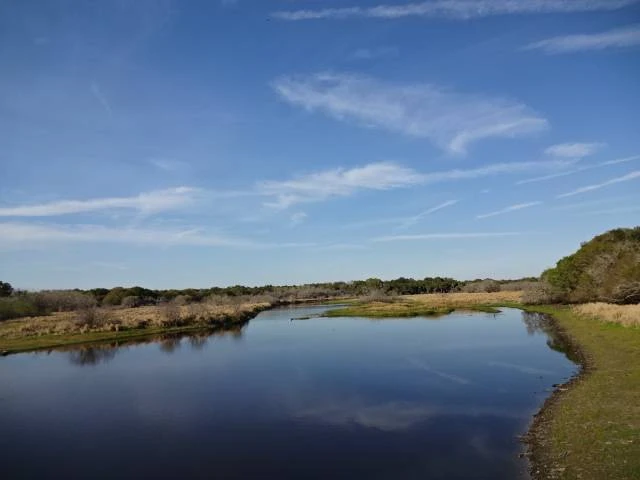 Myakka River State Park Big Flats Campground