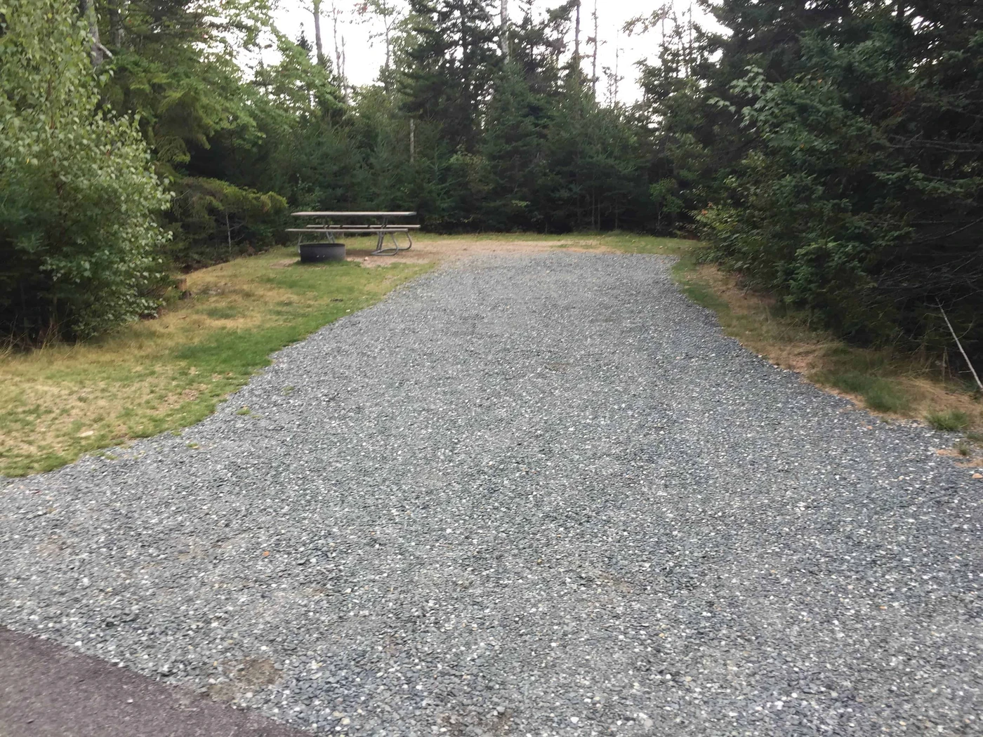 Schoodic Woods Campground