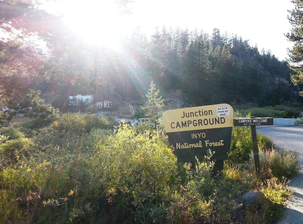 Junction Campground