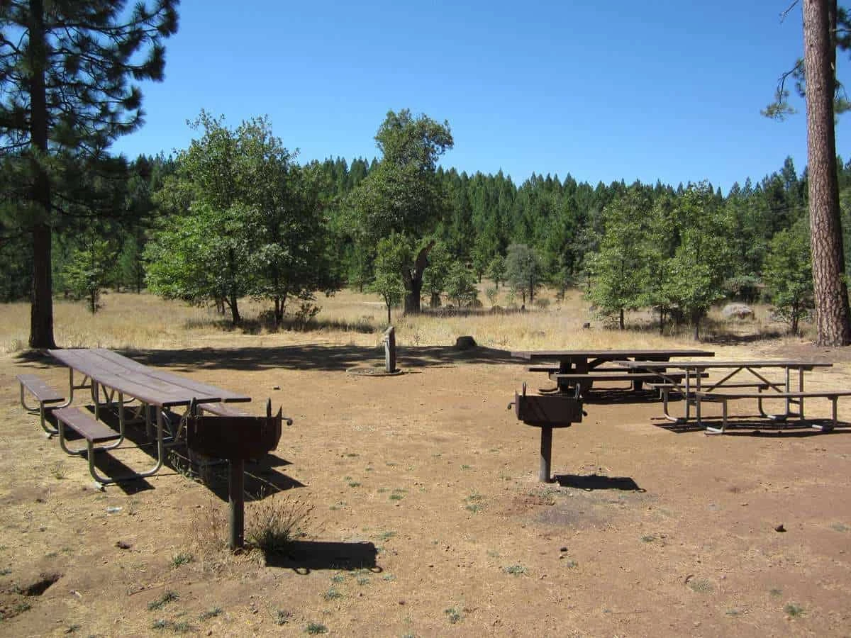 Pines Campground