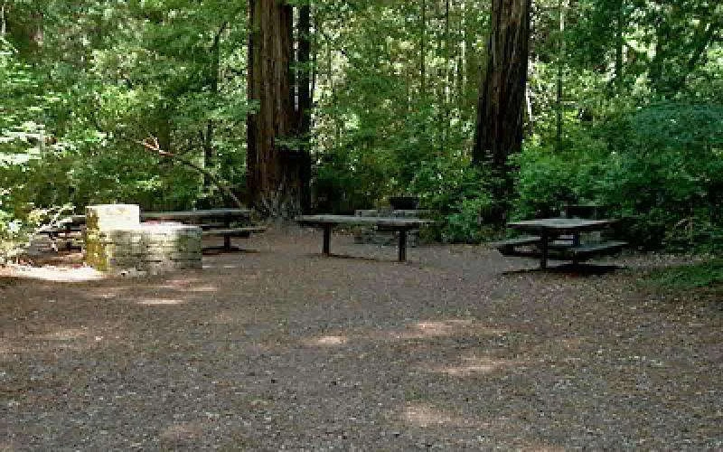 Memorial Park - Azalea Flat and Sequoia Flat Campground