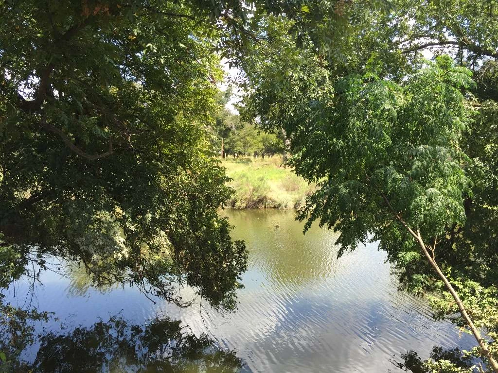 Riverside Park RV