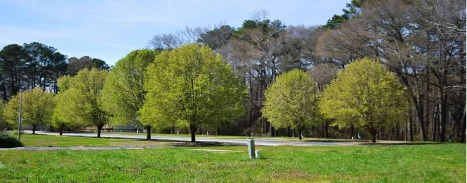 Sweetwater Creek RV Resort