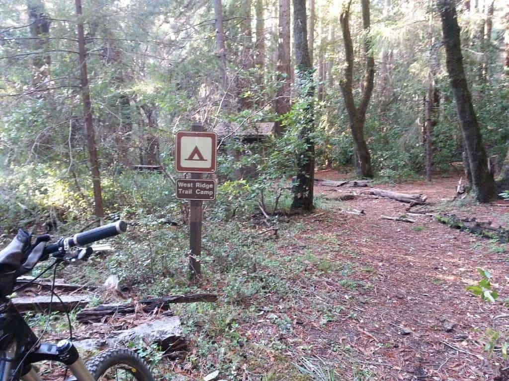 The Forest of Nisene Marks State Park West Ridge Trail Camp