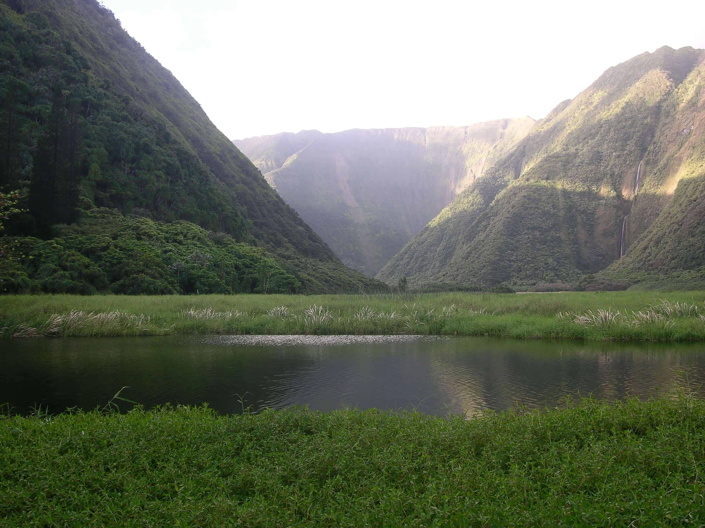 Waimanu Valley Campsite