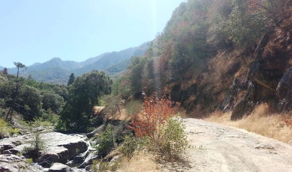 South Fork Campground