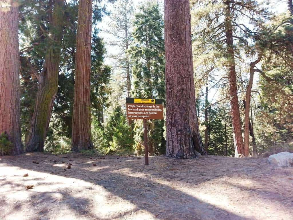 Azalea Campground