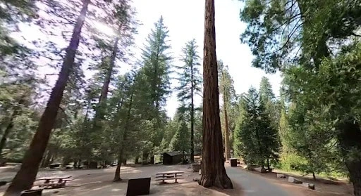 Sunset Campground (CA)