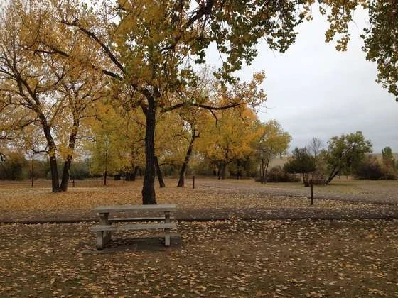 Downstream Campground