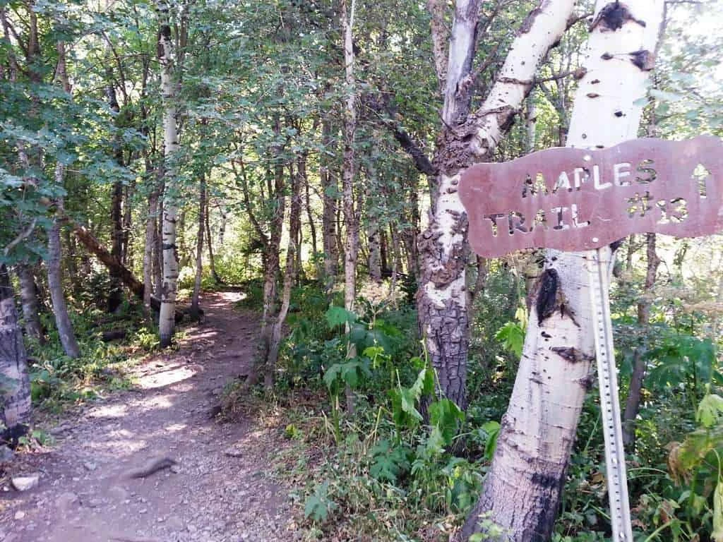 Maples Campground