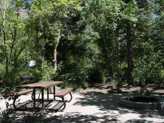 Tanners Flat Campground