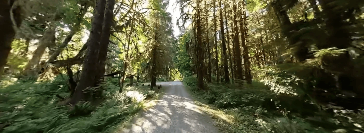 Copper Mine Bottom Campground