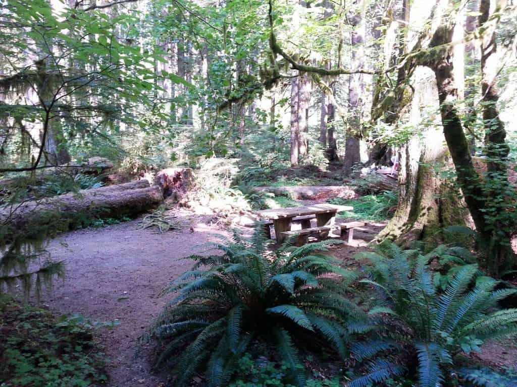 Klahowya Campground