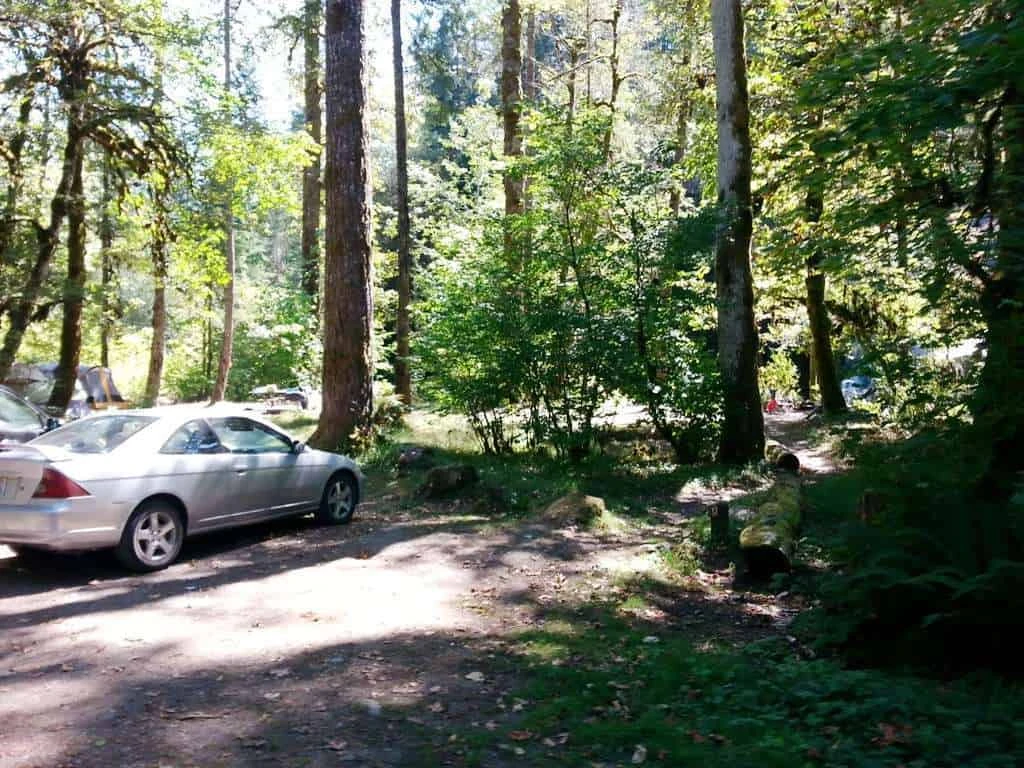 Collins Campground
