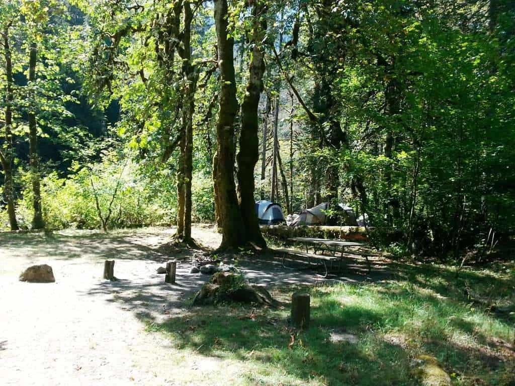 Collins Campground