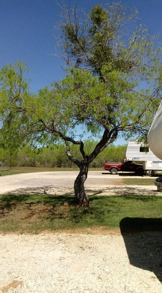Freedom RV Resort
