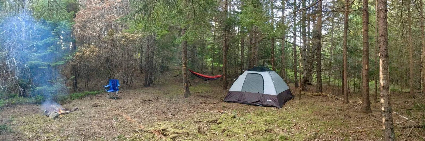 Pocket Parks Acadia East Campground