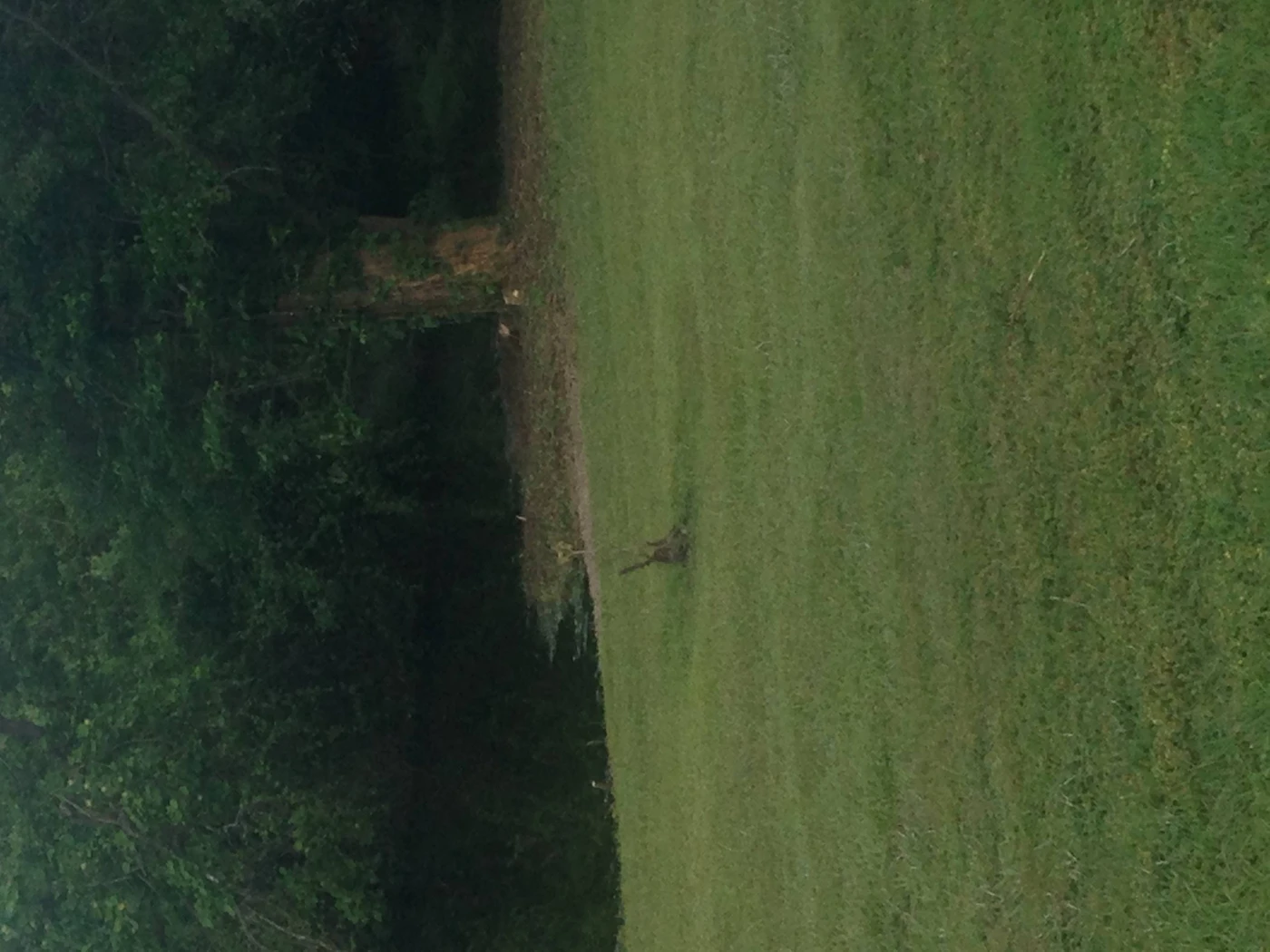 Lake Naomi RV Park and Campground