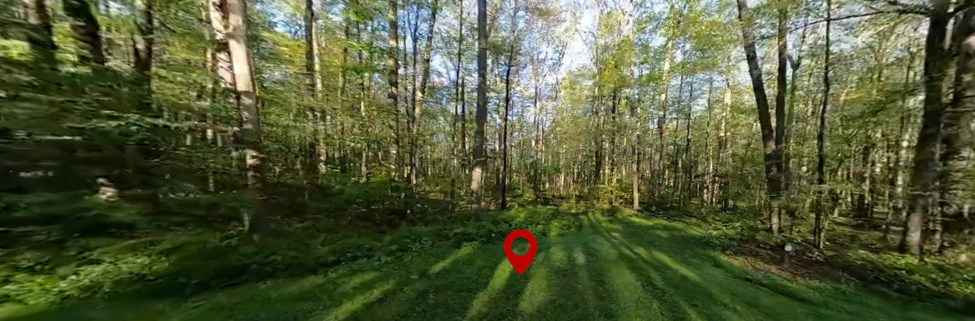 Tracy Ridge Campground