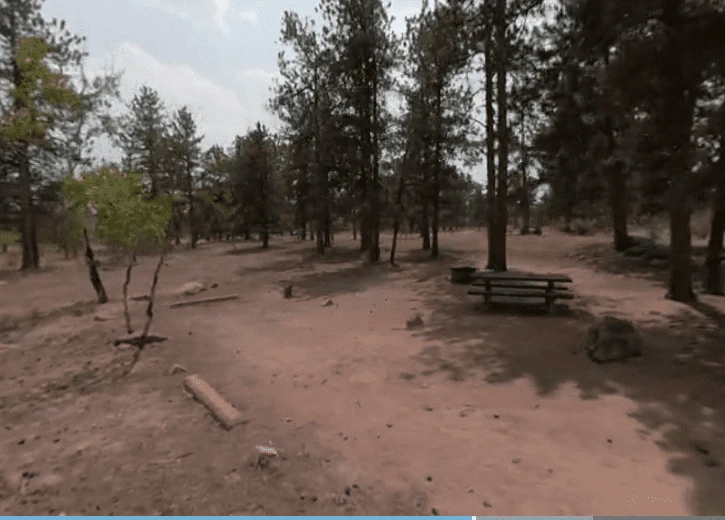 Round Mountain Campground - Pike National Forest