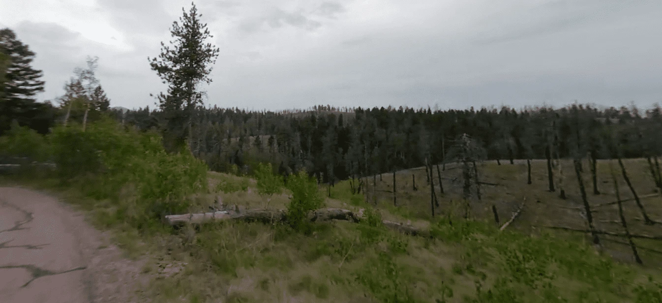 Meadow Ridge Campground - Pike National Forest