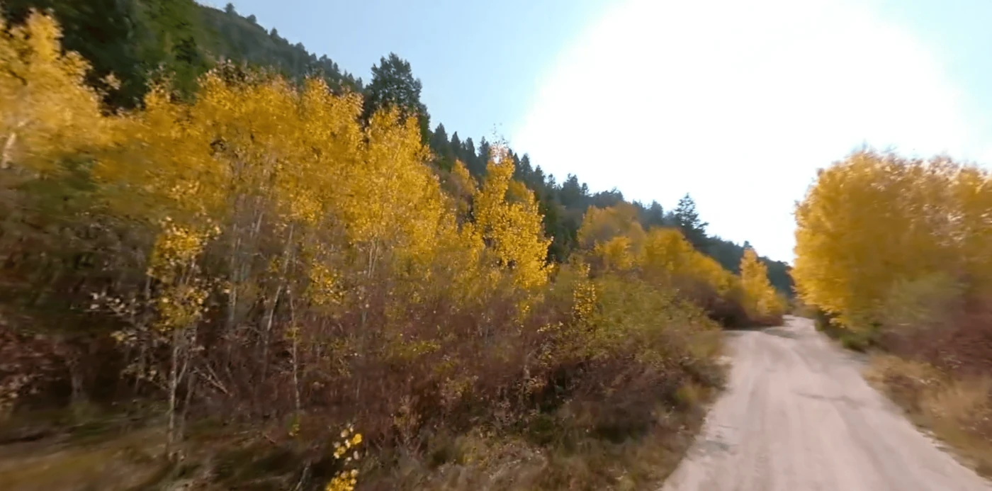 Montpelier Canyon Campground