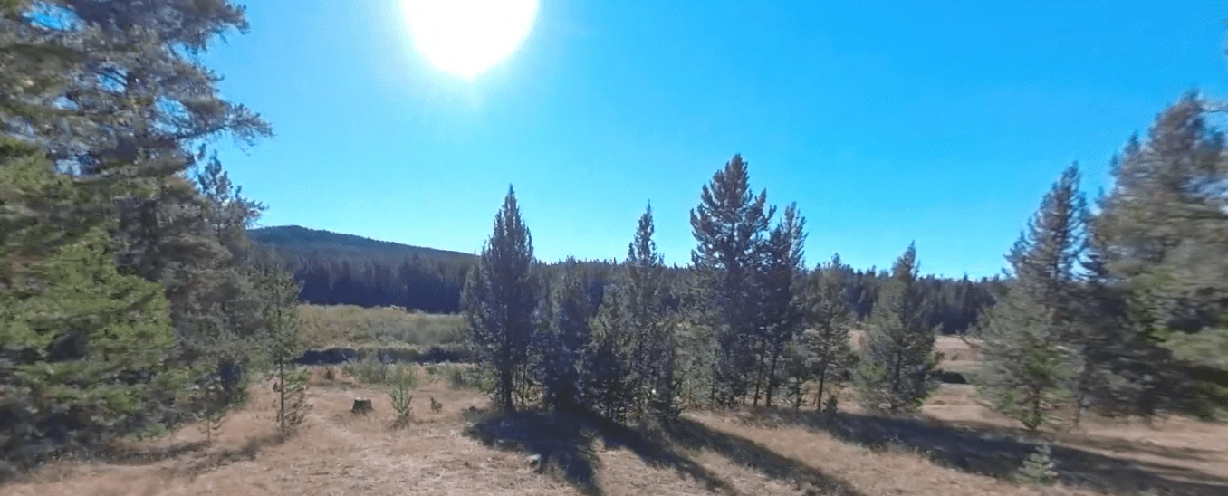 Island Park Campground