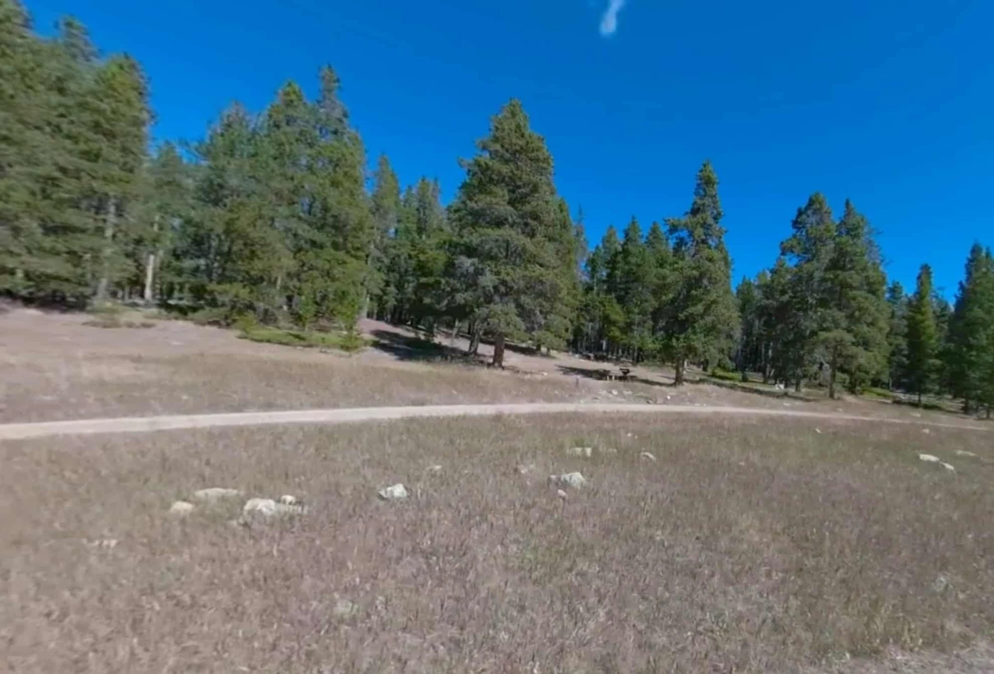 Doyle Creek Campground