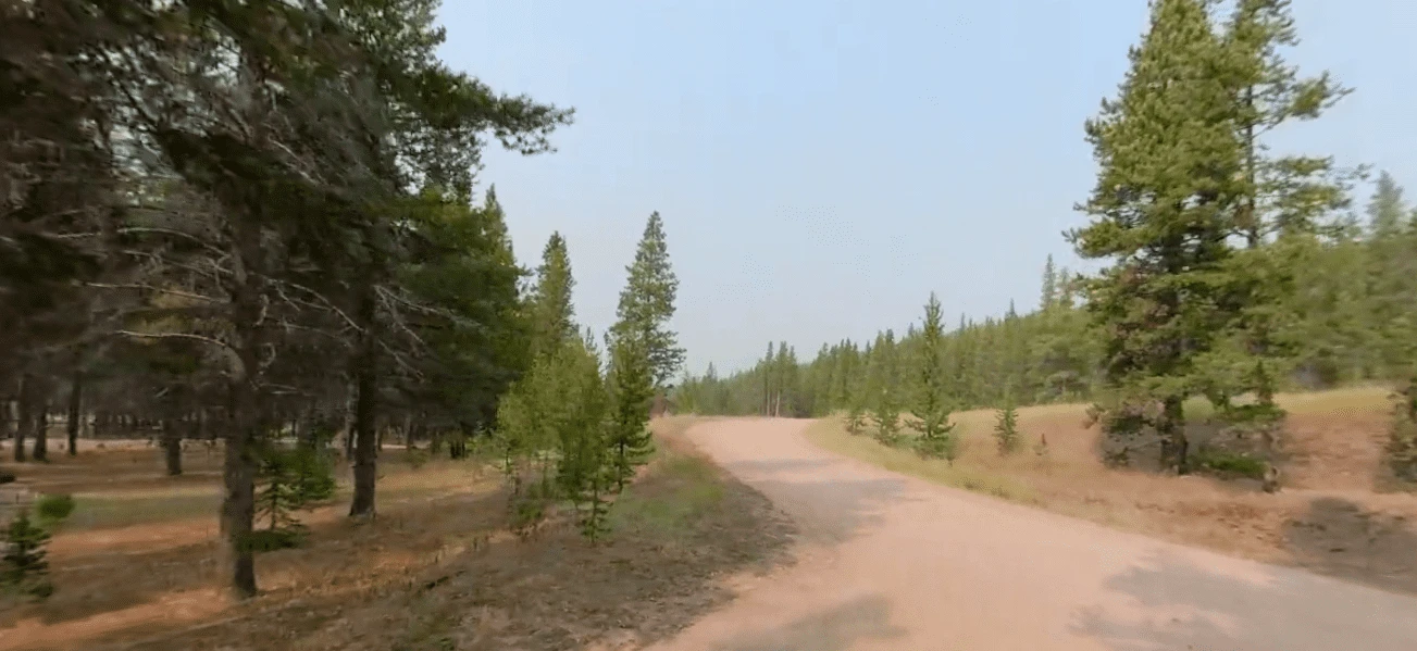 Prune Creek Campground