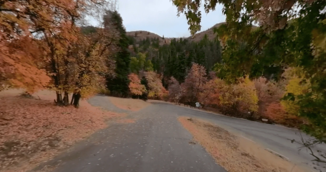 Balsam Campground