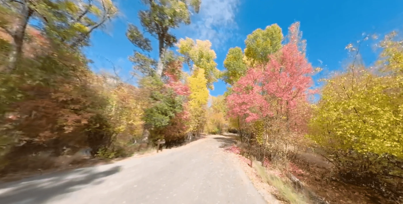 Ponderosa Uinta Campground