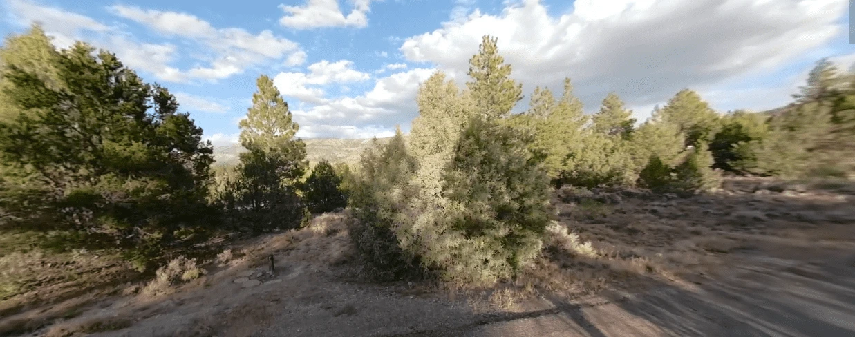 Joes Valley Reservoir Campground