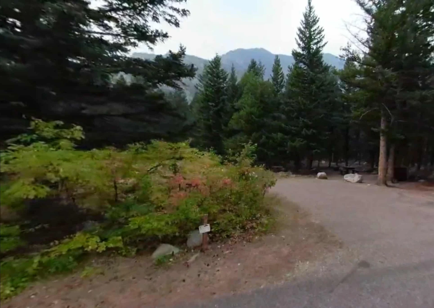 Woodbine Campground