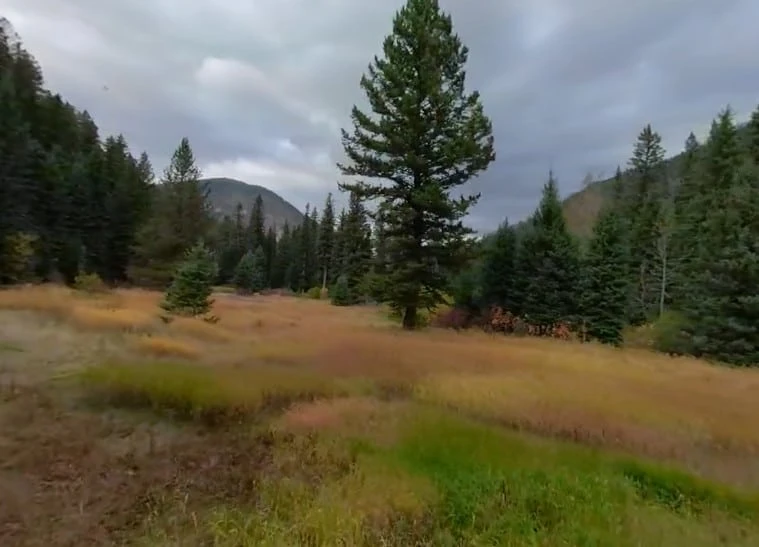 Snowbank Campground