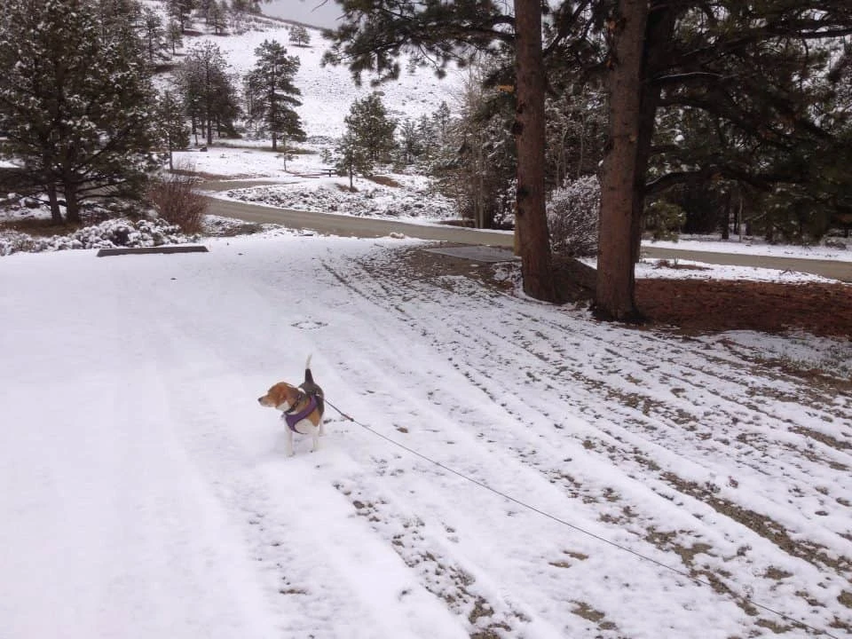 Ohaver Lake Campground