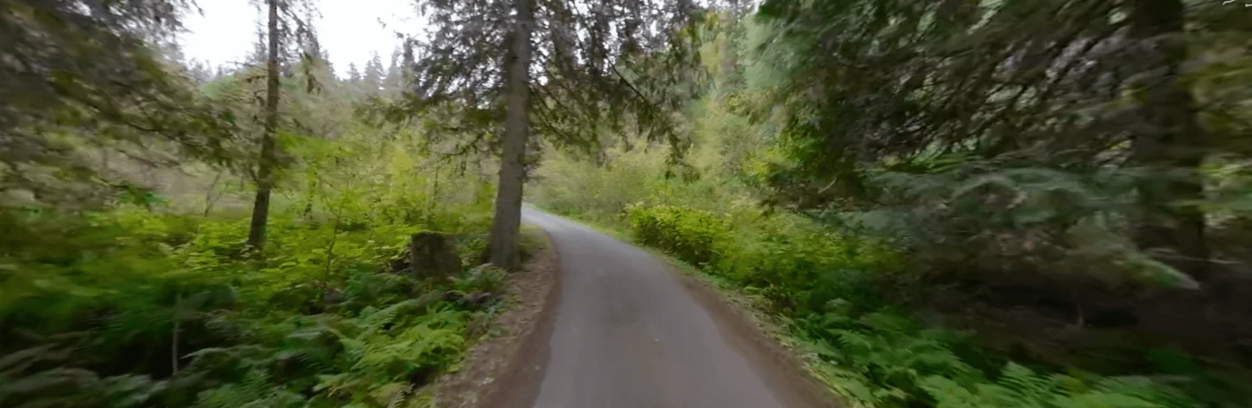 O'Hara Campground