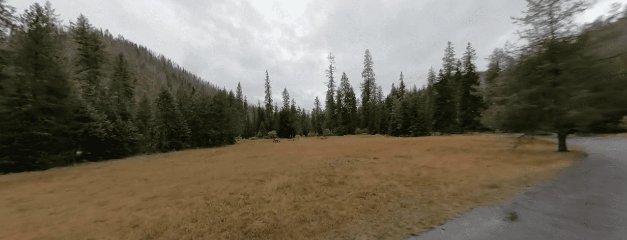 Powell Campground