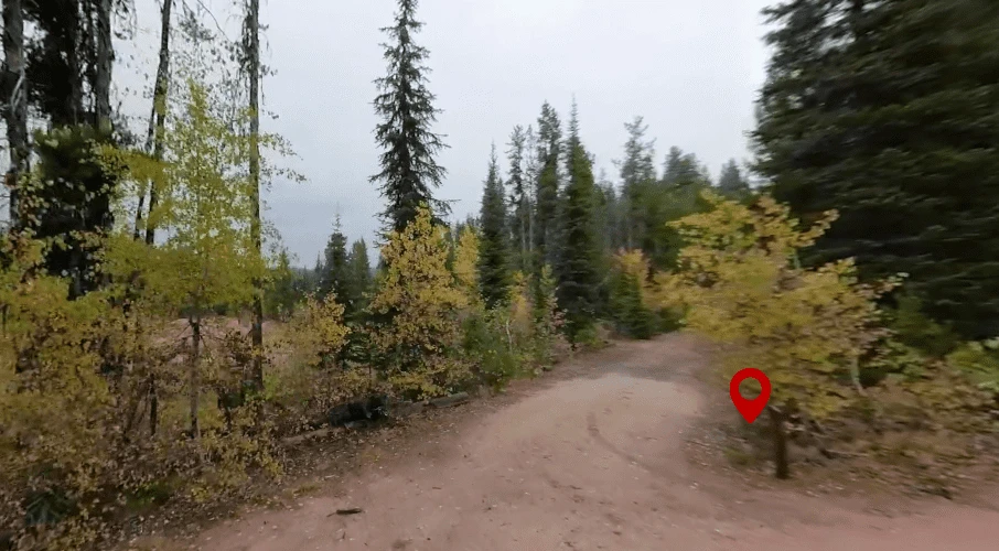 Barneys Campground